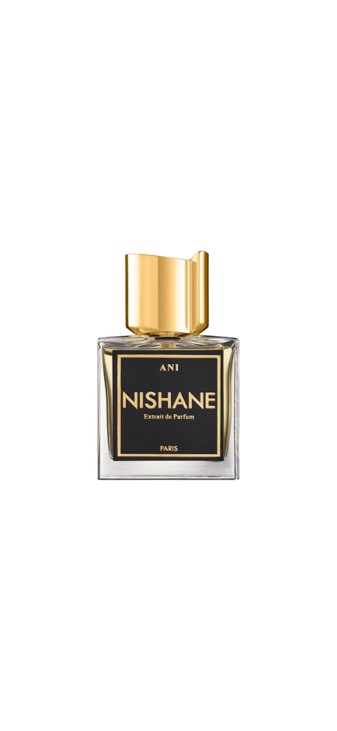 Nishane Ani Extrait De Parfum 100 ml